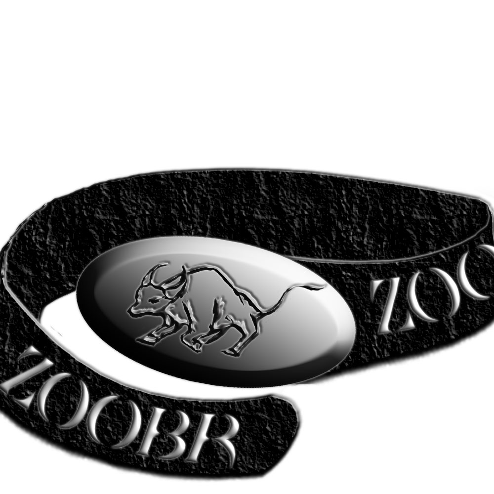 логотип Zoobr