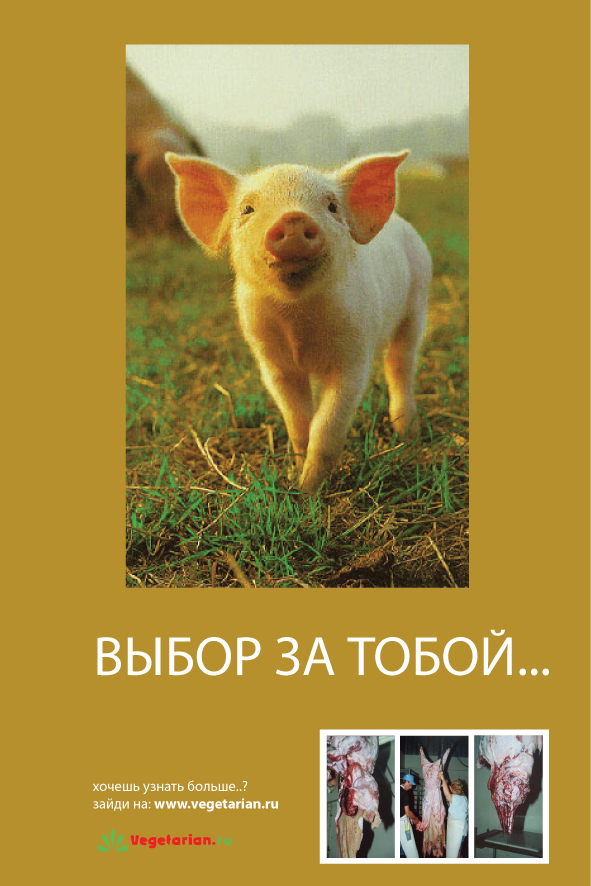 Открытки - Vegetarian.Ru