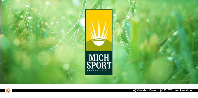 Mich sport