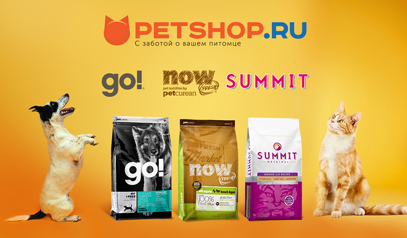 баннер для экранов СРМ  petshop