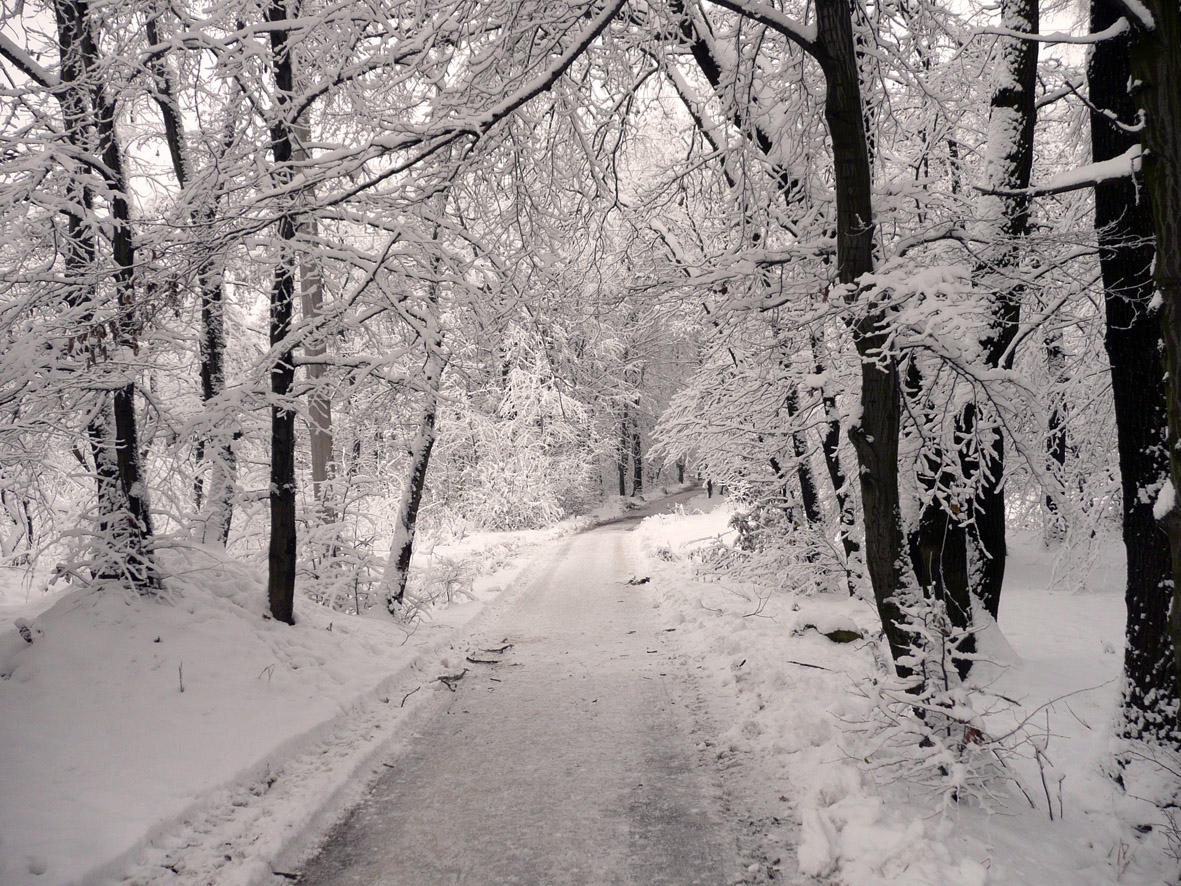 a beautiful woman is the winter