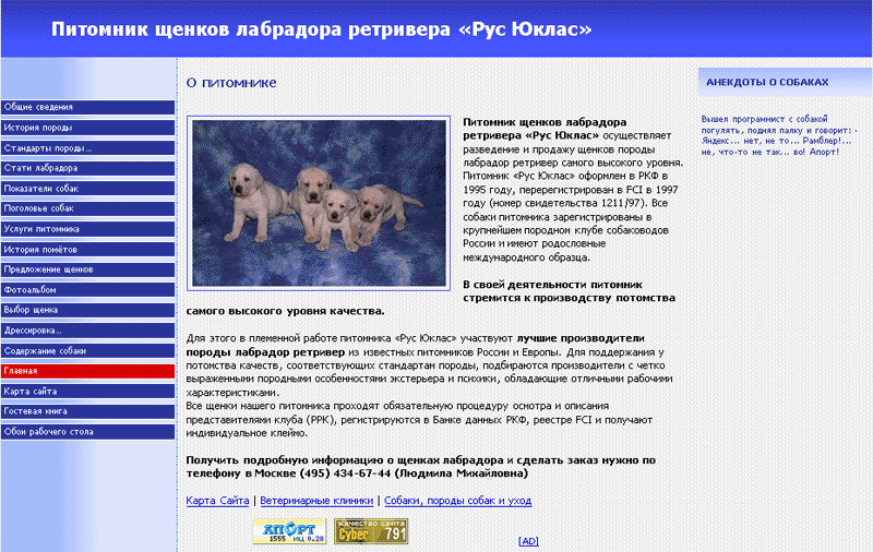 Лабрадор