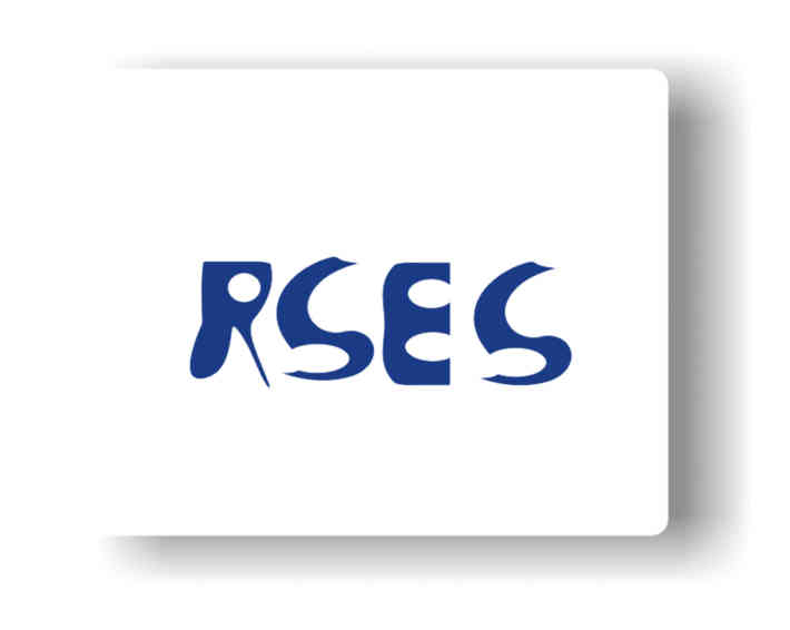 RSES 2 (Конкурс, 2008)