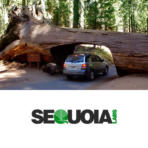 sequoia labs