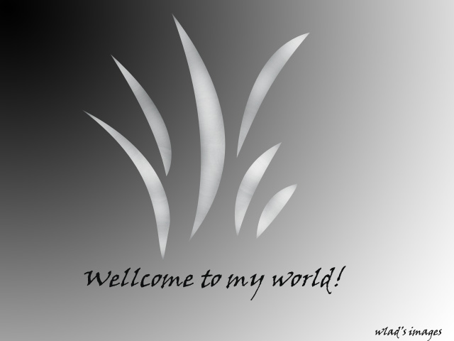 Wellcome to my world!