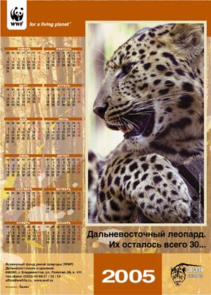 листовой календарь А1 для «WWF»