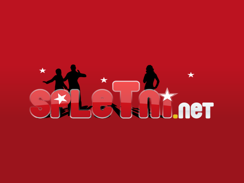 логотип spletni.net