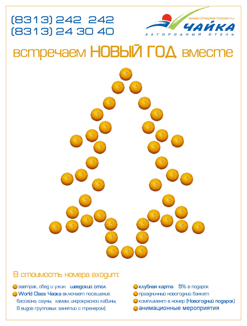 реклама Новогоднего заезда. загородный отель &quot;Чайка&quot;, Н.Новг