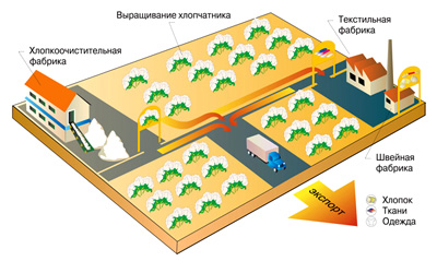 Схема сбора и переработки хлопка