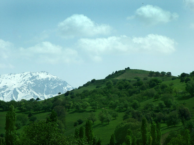 весна в горах