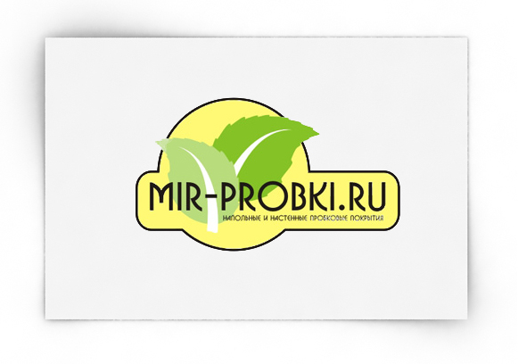 Mir-probki