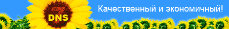 www.7dns.info