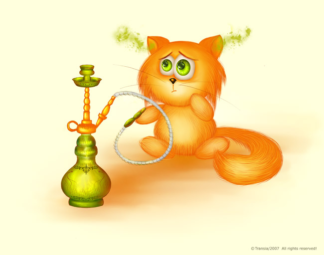 Fox & Hookah