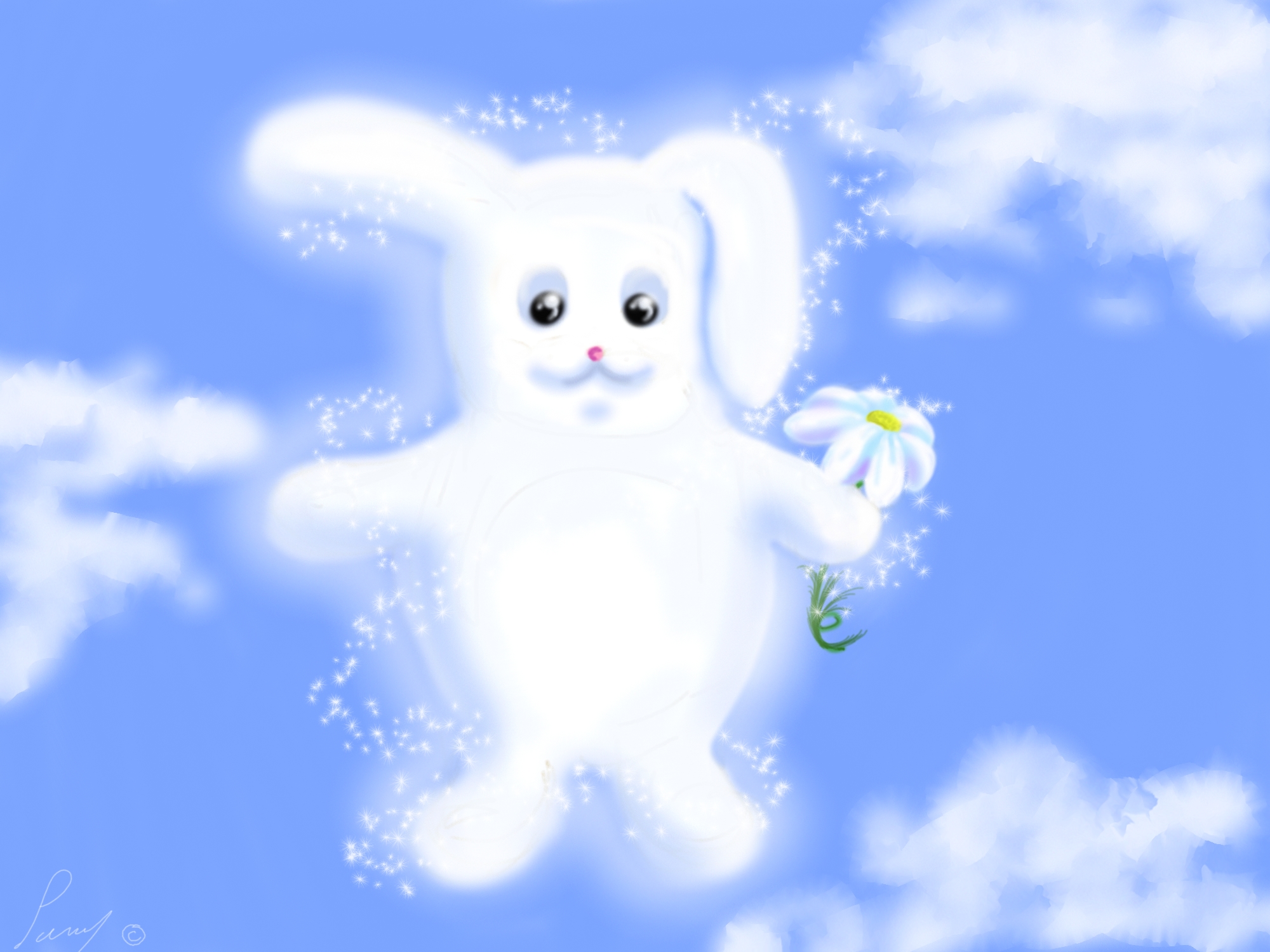 Rabbit the cloud