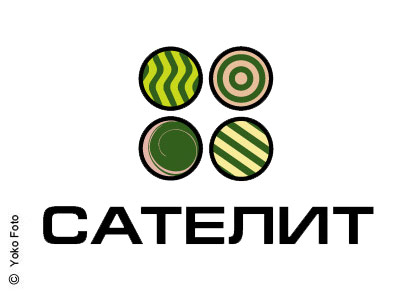 Сателит