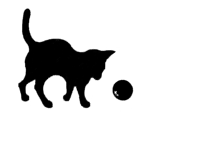кот