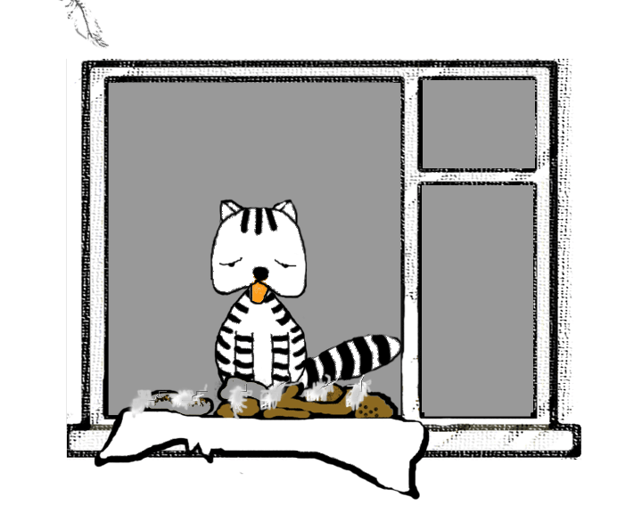 Striped cat