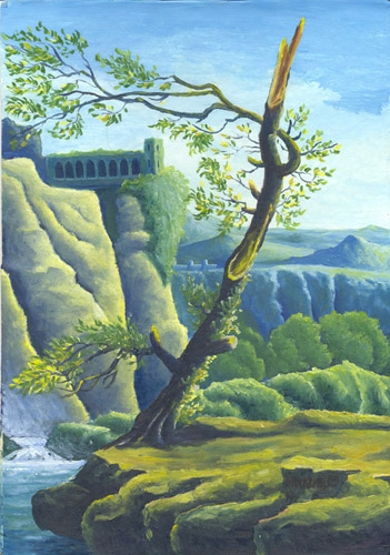 Derevo Robera