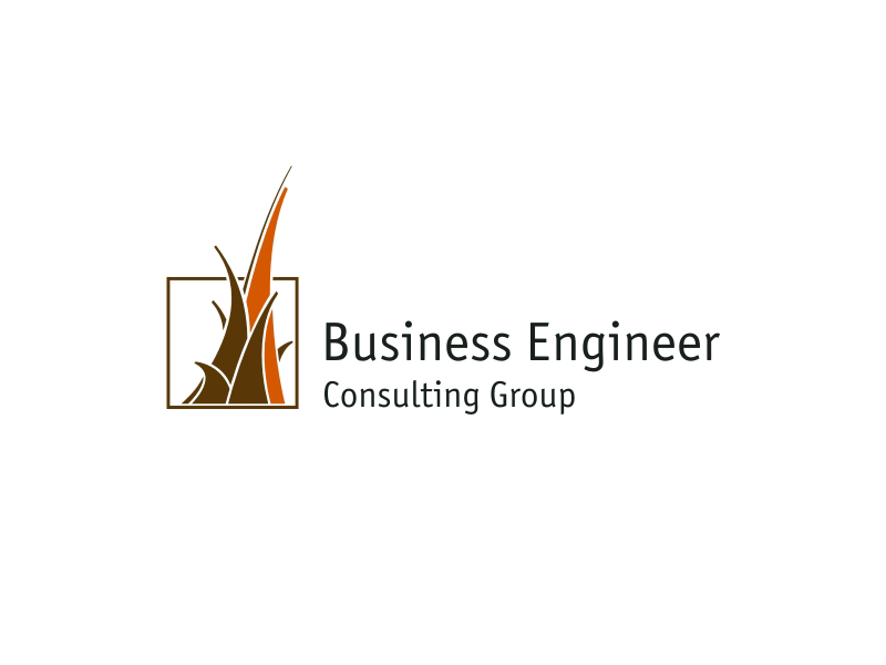 Business Engineer