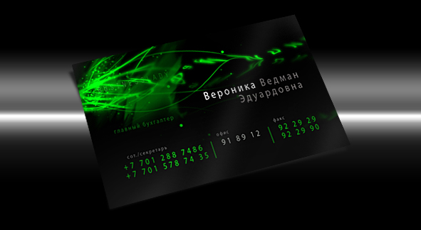 Визитка (6)