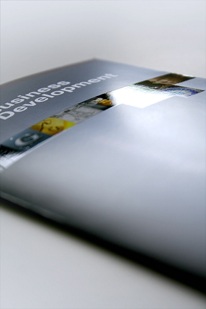 Лифлет Business Development