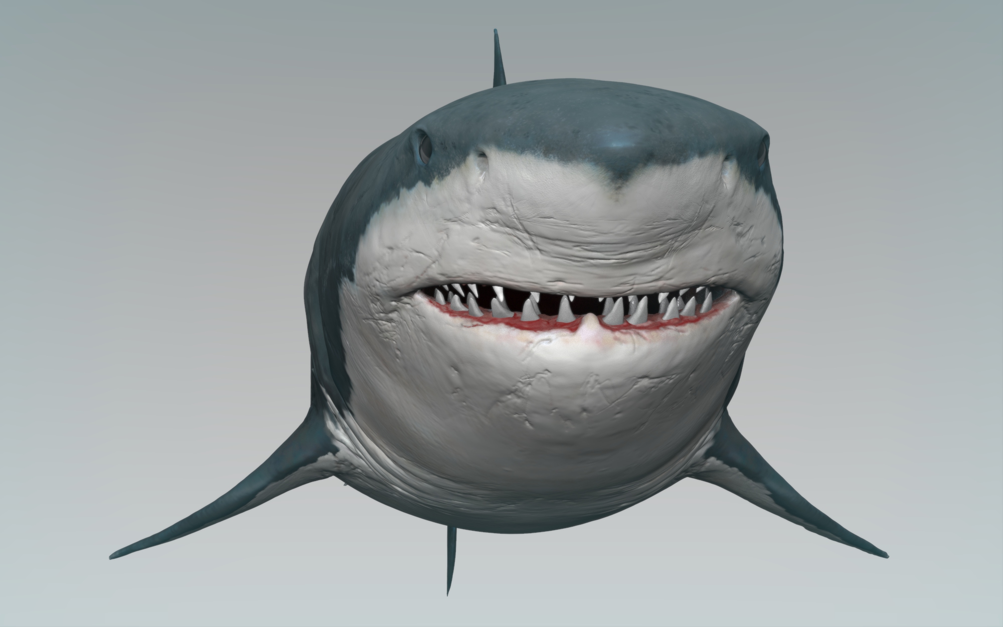 Shark