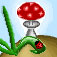 mushroom