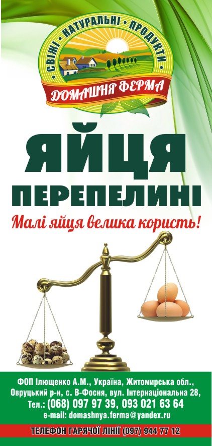 Флаєр