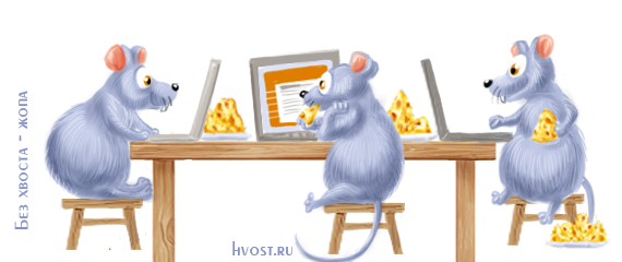 Мыши