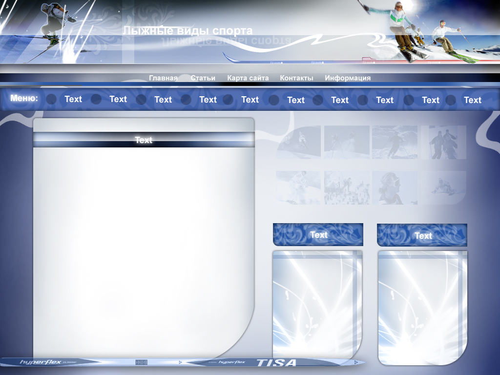 диз для лыжного сайта