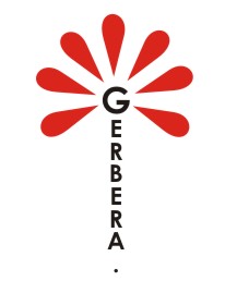 Gerbera