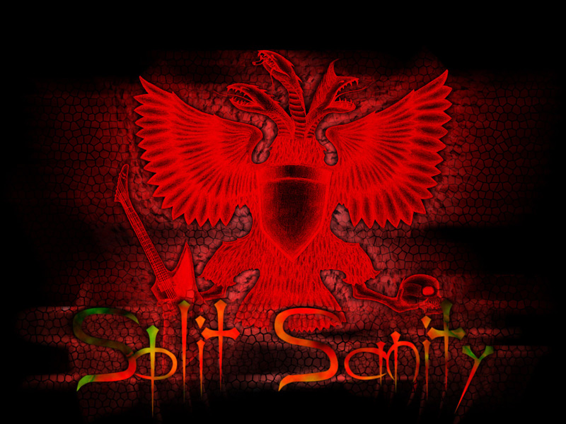 Рабочий стол группы Split Sanity