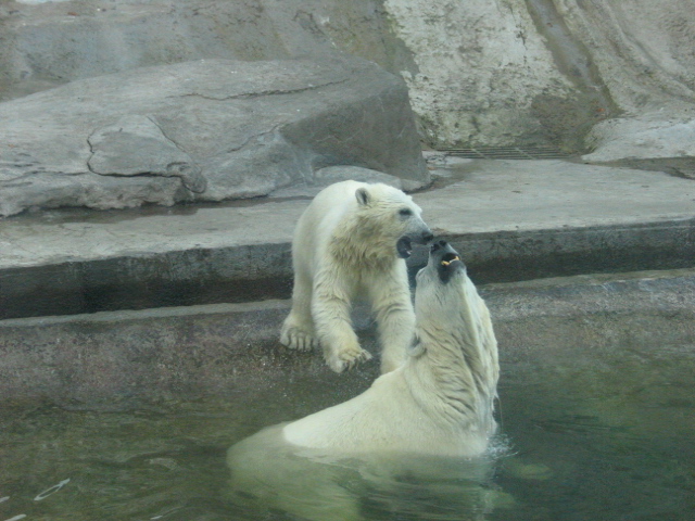В Московском Зоопарке