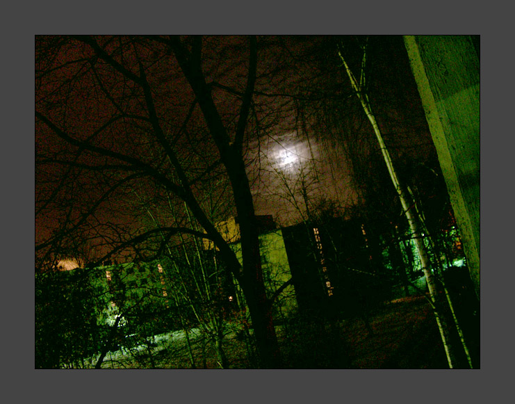 Ночь. Луна.