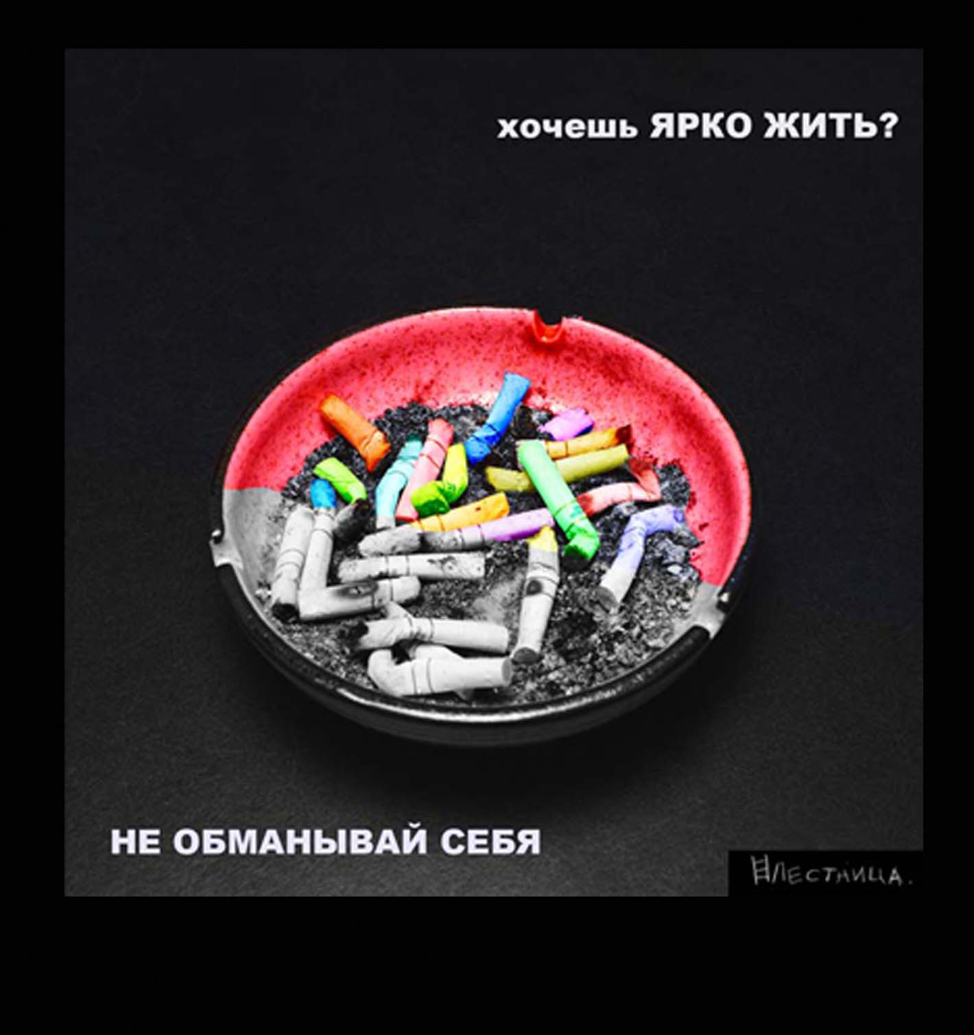 соц проект