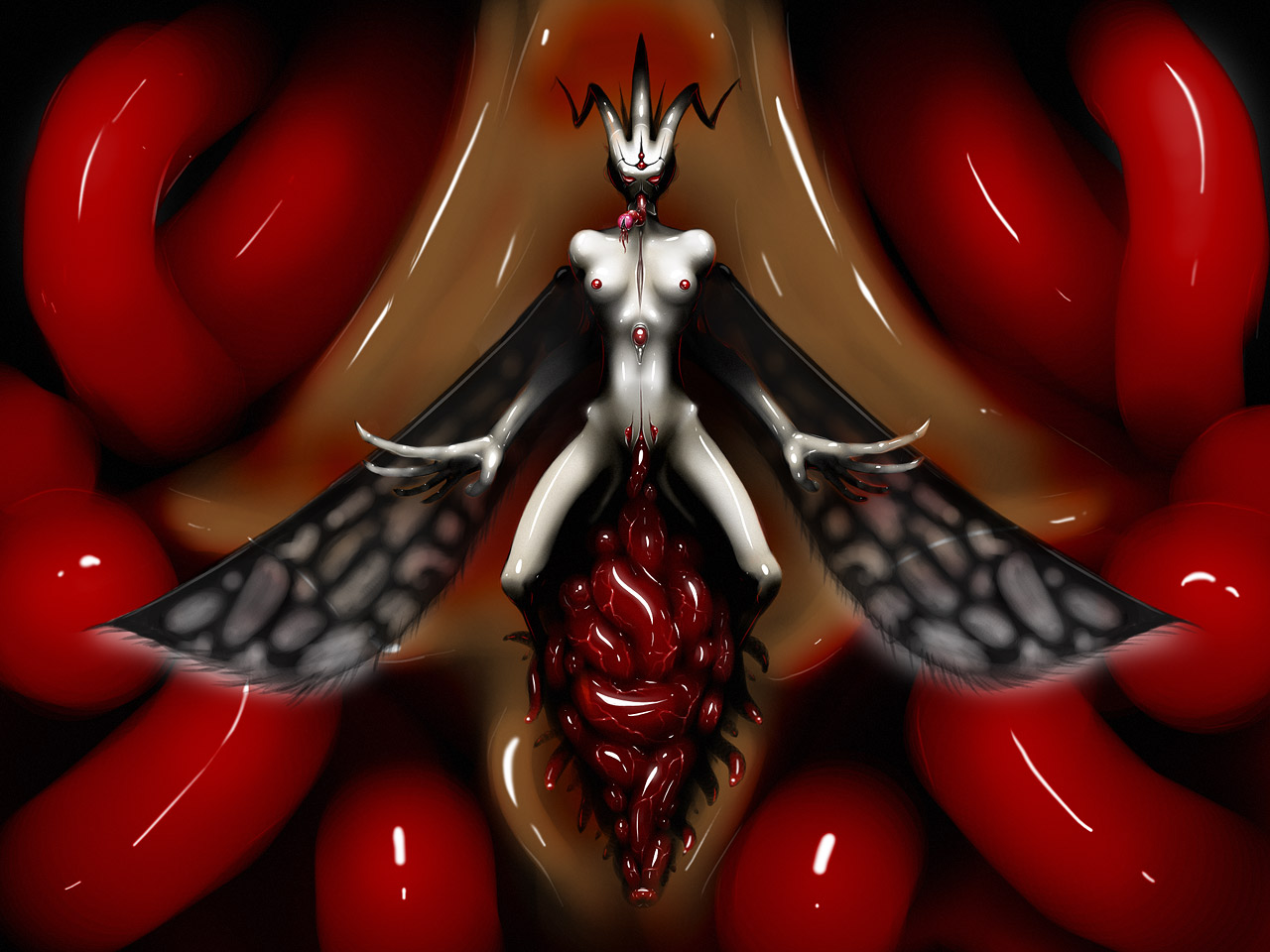 Queen (18+)