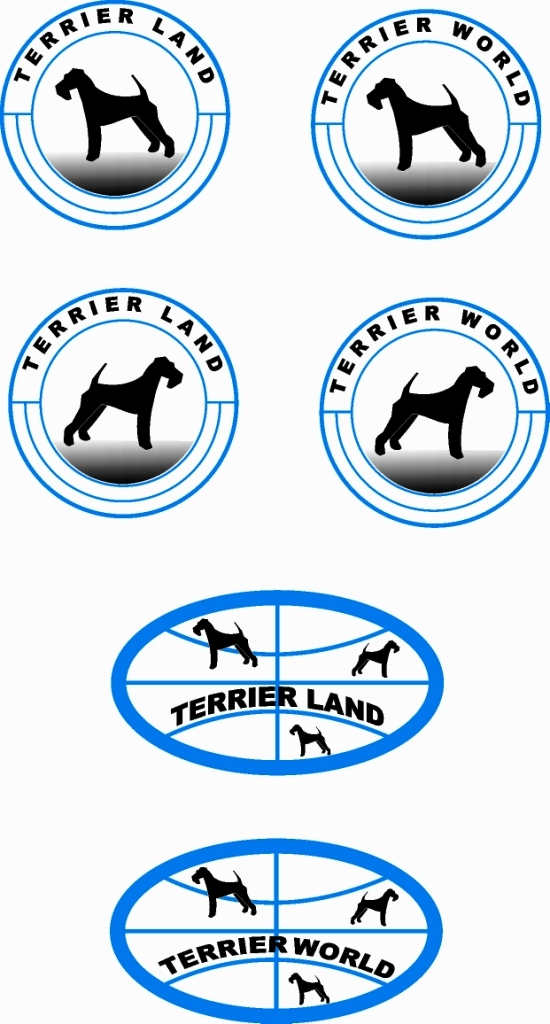 Варианты логотипа и принятый логотип Terrier