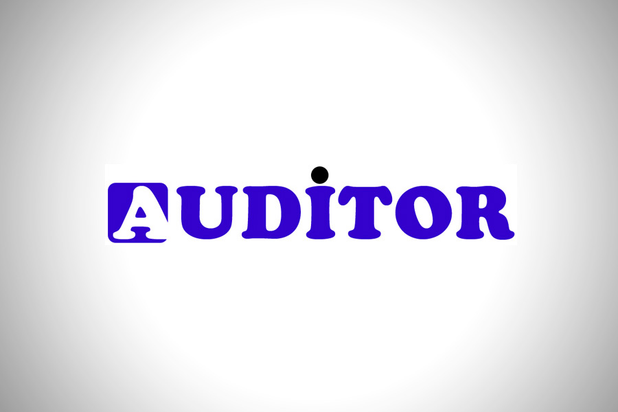 Аудиторская компания «Auditor»