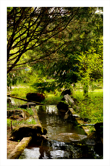 Japanese garden