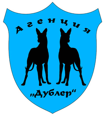 Дублер