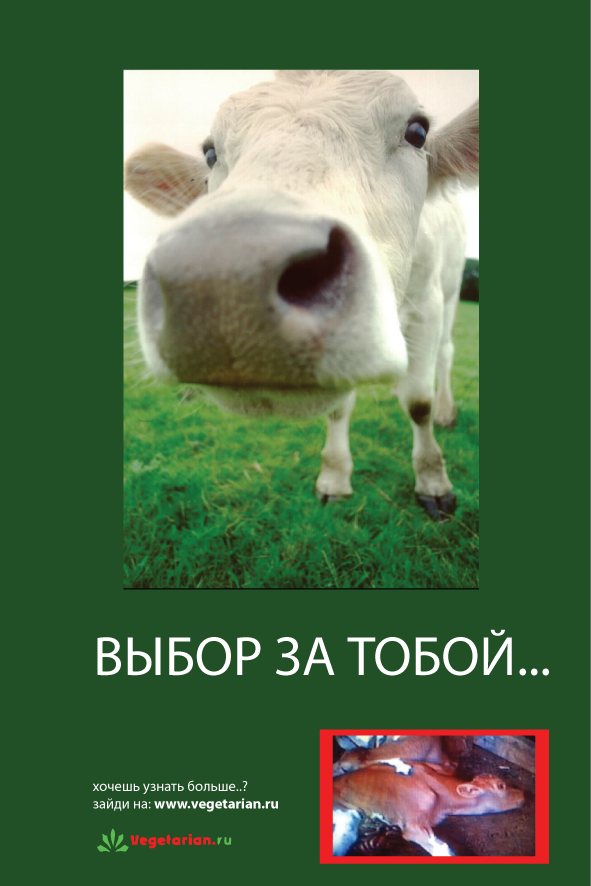 Открытки - Vegetarian.Ru