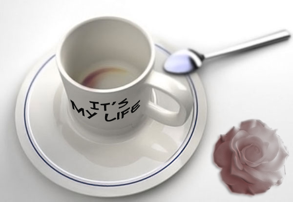 Slev1n_life