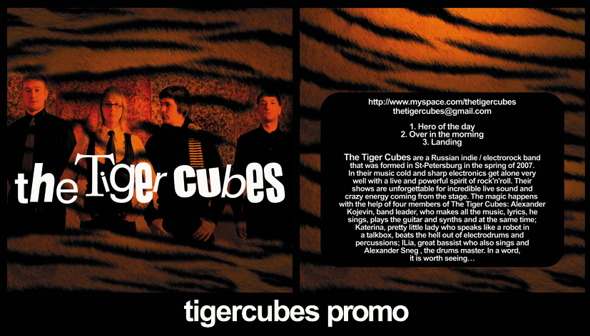 Tiger cubes cover