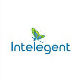 Студия Intelegent