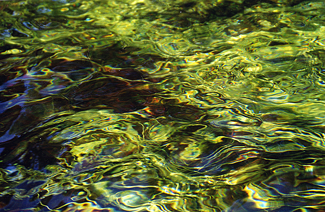 зеленая вода