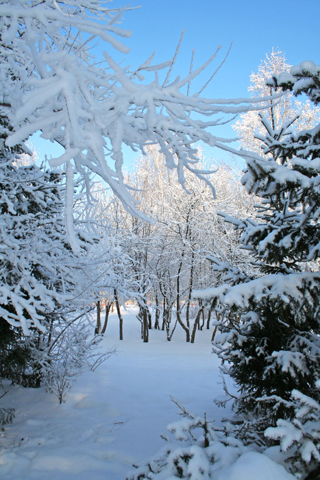 Зима в Красноярске
