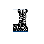 Зебра (50x75)