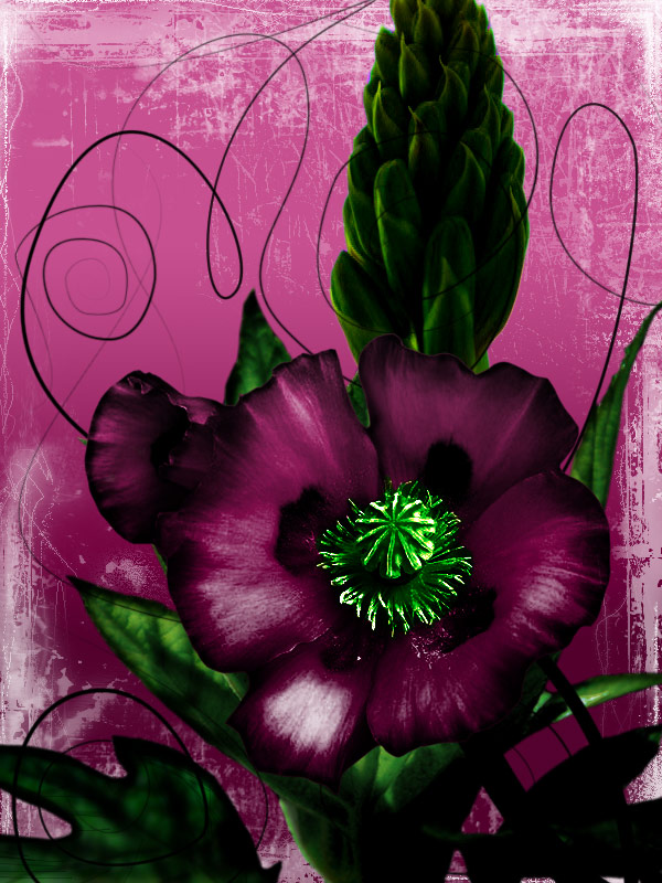 purple (открытка)