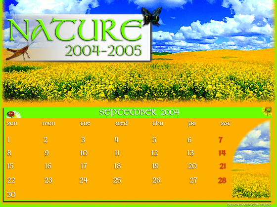 календарь 2004
