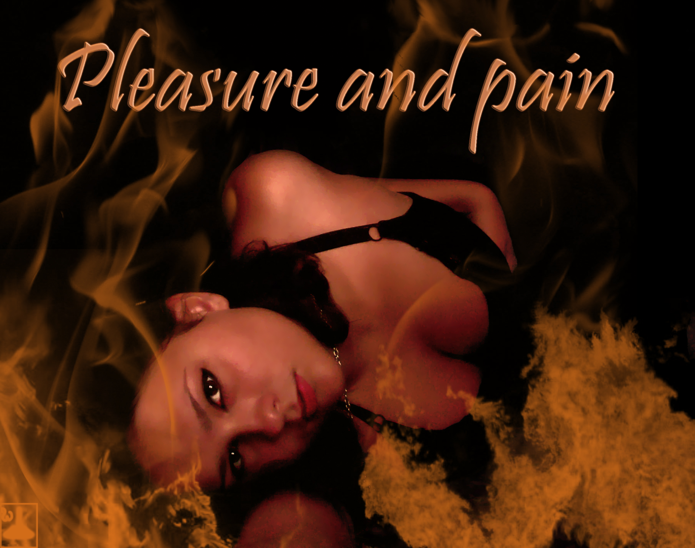 Pleasure_and_Pain
